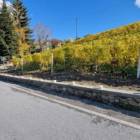 Ca Ed Giuanoto Διαμέρισμα Santo Stefano Belbo Εξωτερικό φωτογραφία